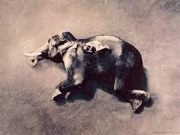 Gregory Colbert