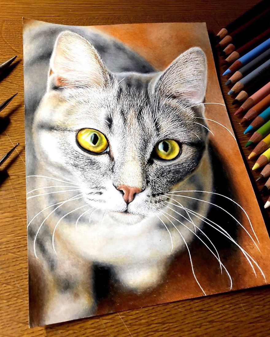 Realistic Drawings of Cats: Capturing the Feline Charm.